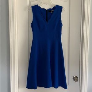 Karl Lagerfeld Royal Blue Scalloped V Neck Dress
